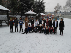 Evrensel Kolej