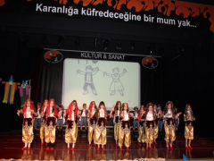 Evrensel Kolej