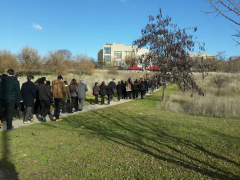 Evrensel Kolej