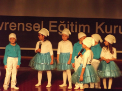 Evrensel Kolej