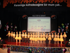 Evrensel Kolej