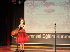 Evrensel Kolej