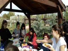 Evrensel Kolej