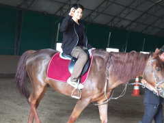 Evrensel Kolej