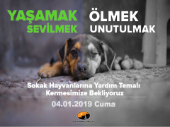 Evrensel Kolej