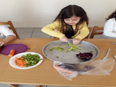 Evrensel Kolej