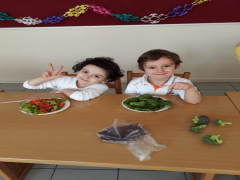 Evrensel Kolej